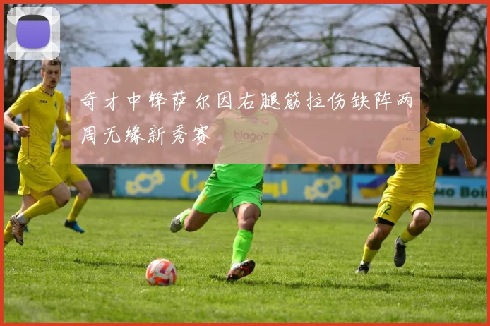 奇才中锋萨尔因右腿筋拉伤缺阵两周无缘新秀赛